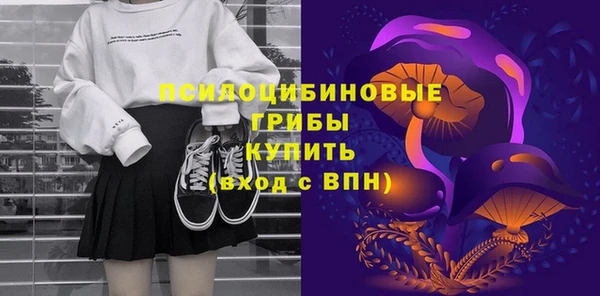 первитин Белокуриха