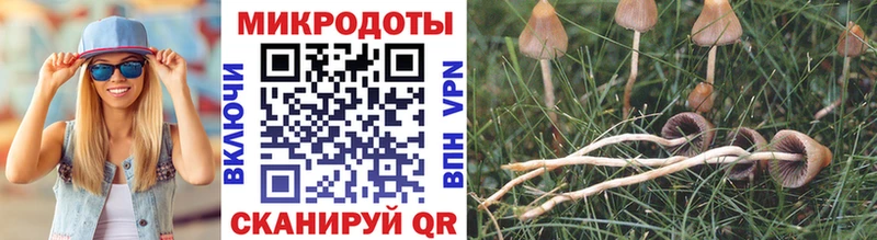 Псилоцибиновые грибы Cubensis darknet телеграм Калининец купить наркотик